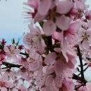 대지농장 이미지