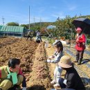 시은농장 이미지