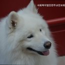 삼계리요양원 사회복지법인천주교인보회 행복한집 안심할 수 있는 돌봄