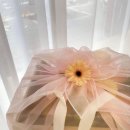 스윗푸릇 이미지