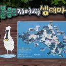 볼음도저어새생태마을 이미지