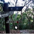 눈꽃초밥 이미지