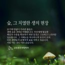 뉴스브리핑 이미지