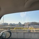 이뿌개 | 이뿌개 위생미용하고 온 후기! 구로 애견미용, 신도림 애견미용, 영등포 애견미용