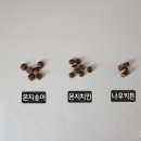 나우몬 이미지