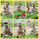 세빈농장 이미지