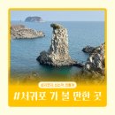유민미술관 | 서귀포 가볼만한곳 추천 | 섭지코지, 쇠소깍, 외돌개 후기