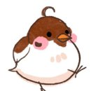 카페보헤이 이미지