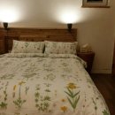 스테이3355 이미지