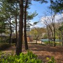 안곡습지공원 화장실 이미지