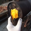 정인카센타 이미지