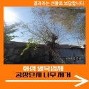 고덕 연결녹지 | 화성 벌목업체 공장단지 나무 제거