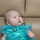 샤스민 이미지