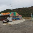 독곳수산 Daum카페