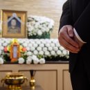 풀잎사랑화원 - 고양시 덕양구 행신로 31 | 풀잎사랑화원