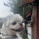 그랜드세탁소 이미지