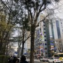 노랑통닭범계역점 이미지