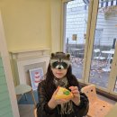 이앤이치과의원 | [원주] 사랑니 발치 마취 잘하는 치과 &#34;이앤이치과의원&#34;