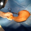 Dr.윤24시동물병원 이미지