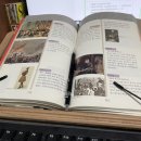 대륙세탁소 이미지