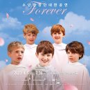 (공연) 리베라소년합창단 내한공연 <FOREVER> | [공연안내] 영국소년합창단 리베라 내한공연 <Forever>