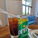 보홀 여행 2탄: 라메디리조트 근처 보홀 맛집 나무카페(조식)