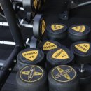 킹스바디 이미지