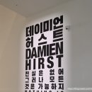 국립현대미술관 데미안 허스트 전시 후기 (예매, 주차, 근처 맛집)