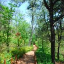 계남공원 이미지