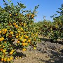 주식회사 렌즈베리 이미지