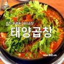 은하수곱창 | 춘천 곱창전골 후평동 신상 맛집 태양곱창 내돈내산 후기
