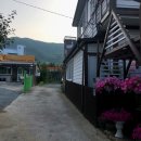 청도편백숲하우스 이미지