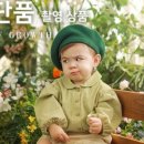 베이비파스텔 네이버블로그