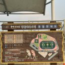 문막생활체육시설 축구장 이미지