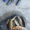 정안 낚시터 이미지