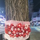 종로-종로-종로-종-260 이미지