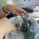 한생연HLSI 초등 온라인 과학수업 1개월 무료! ZOOM 과학수업으로 집에서 즐기는 실험의 재미