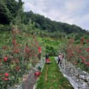 중호농장 이미지