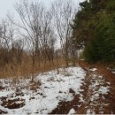 주생면 상동마을 이미지