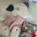 [로이액츄얼리 로이킴 부산콘서트 후기]