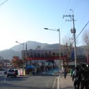 신나무역