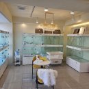 라이프독 강릉점 24시 강아지분양 고양이분양 이미지