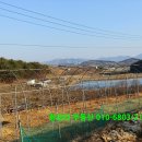 황금터부동산중개사무소 이미지