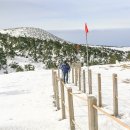 종로-현장-종로-세-105 이미지