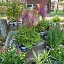 신월동017 이미지