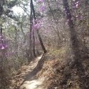 제2금강산 등산로입구 이미지