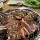 화화돼지왕갈비 충무점 | 야탑 돼지갈비 화화돼지왕갈비 야탑점 내돈내산 후기