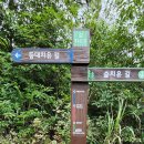 신지대교(신지도) 이미지