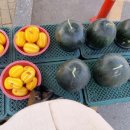 에덴병원 이미지