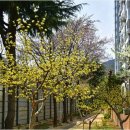 빛나는부동산공인중개사사무소 이미지